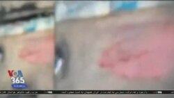 اخبار شامگاهی