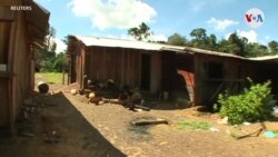 Minas ilegales de oro, amenaza en Venezuela