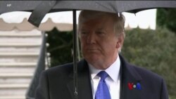 နေ့စဉ် တီဗွီသတင်းလွှာ (၁၂-၀၃-၂၀၁၉)