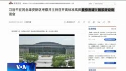 时事大家谈：四常委考察雄安，习近平的“宠物工程”结局会如何？