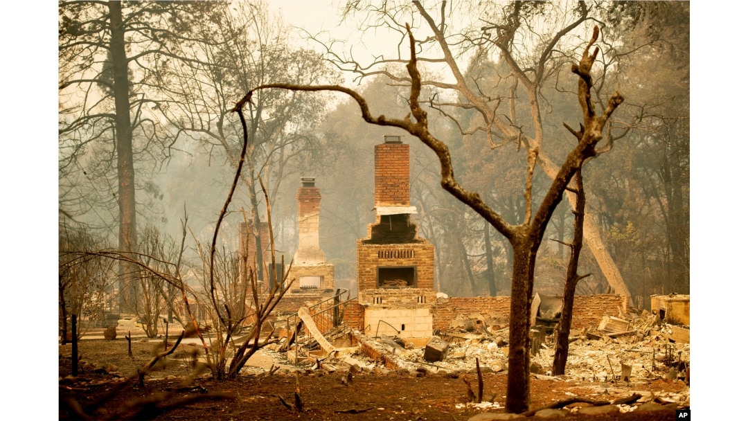 Fireplaces stand amid destroyed residences following the Camp Fire in Paradise, Calif., Nov. 12, 2018.