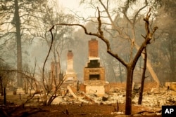 Fireplaces stand amid destroyed residences following the Camp Fire in Paradise, Calif., Nov. 12, 2018.