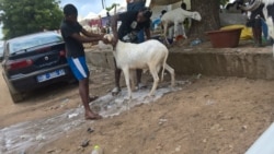 Reportage de Seydina Aba Gueye, correspondant à Dakar pour VOA Afrique