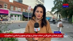 بازگشت به اتحادیه اروپا؛ پیشنهاد تازه برای آینده بریتانیا