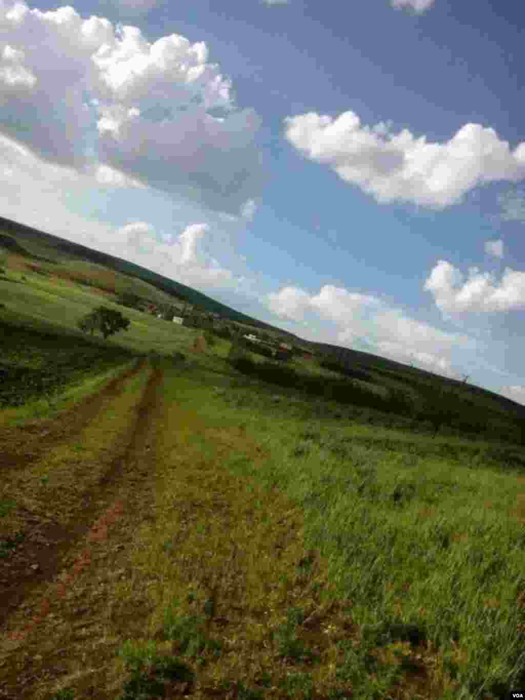 روستای امیرآباد- آذربایجان شرقی عکس: نوید (ارسالی شما) 