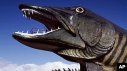 You’ll find this fiberglass muskie - a fierce lake fish - and the less fearsome sunfish outside the National Freshwater Fishing Hall of Fame in Wisconsin.
