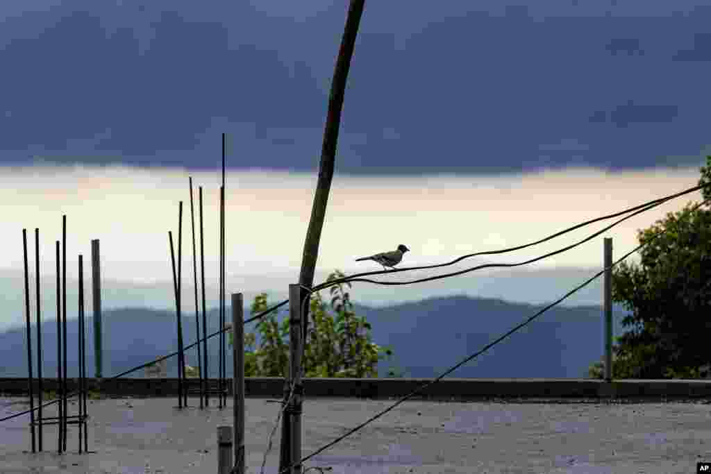 A black-headed jay sits on an electric cable as rain clouds hover over the Kangra Valley in Dharmsala, India.