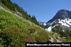 Hiking the Cascade Pass trail was like walking from summer into winter.