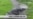 世界遗产大沼泽地国家公园陷入危机