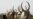 Dozens Killed in South Sudan Attack