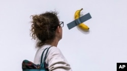 In this file photo, a woman looks at artist Maurizio Cattelan's piece of art "Comedian" during an auction preview at Sotheby's in New York, Monday, Nov. 11, 2024. (AP Photo/Eduardo Munoz Alvarez, File)