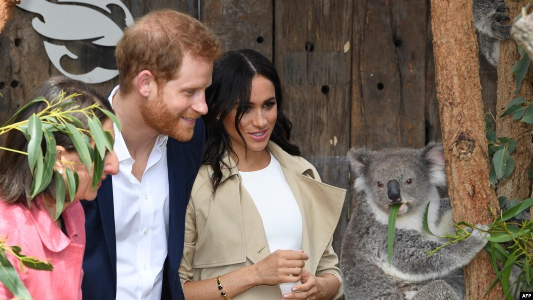 Harry và Meghan tại sở thú Taronga, Sydney.