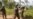 UN Peacekeeper Killed in Attack on Helicopter in DR Congo