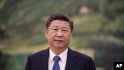 China's President Xi Jinping looks on before to meet with former US Secretary of State Henry Kissinger (not seen) at the Great Halll of the People in Beijing on December 2, 2016.