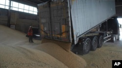 Ukraine Grain Exports