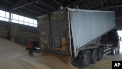 Ukraine Grain Exports