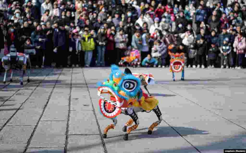 Spectators watch as robot dogs draped in lion costumes perform on the Lantern Festival, which marks the end of the Lunar New Year celebrations, in Jinan, Shandong province, China.