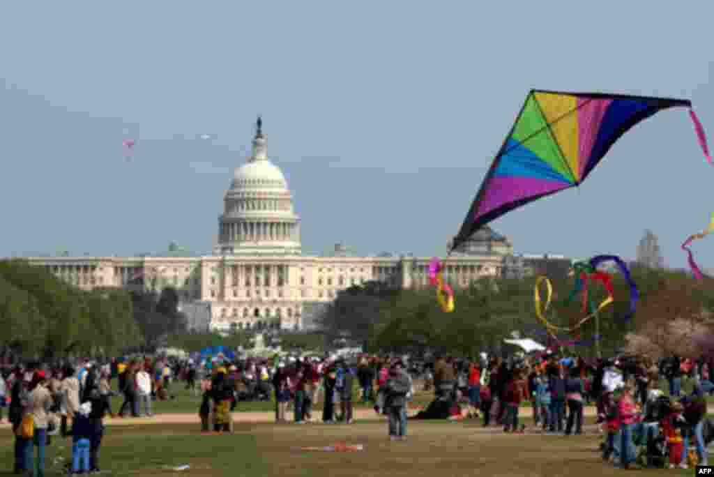 Змеи над городом… воздушные