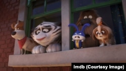 The Secret Life of Pets 2 (2019)