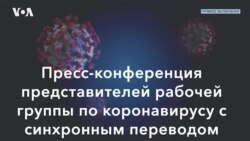 Прямая трансляция пресс-конференции рабочей группы по коронавирусу (25 марта)
