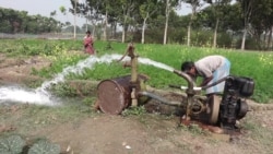 Pond Water Brings Relief to India’s ‘Arsenic Belt’