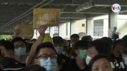 Nan Honk Kong, Aktivite yo Reprann Timidman