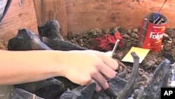 Scientists search through fossils in Los Angeles.