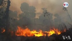 Dife nan Forè Amazon nan Ap Kontamine Èr la Seryezman