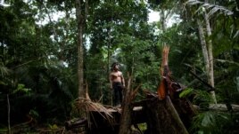 An indigenous man called Tebu, of Uru-eu-wau-wau tribe, looks on in an area deforested by invaders in the village of Alto Jaru, at the Uru-eu-wau-wau Indigenous Reservation near Campo Novo de Rondonia, Brazil February 1, 2019.