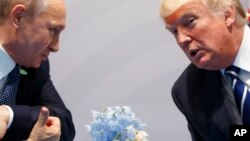 FILE - U.S. President Donald Trump, right, meets with Russian President Vladimir Putin at the G-20 Summit in Hamburg, Germany, July 7, 2017.