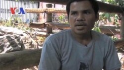 Cambodia Sun Bears – World’s Smallest Bears Under Threats (Cambodia news in Khmer)