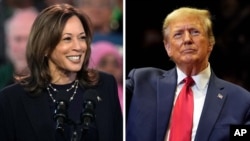 Kamala Harris Donald trump