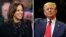 Kamala Harris Donald trump