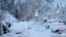 Snow-covered cars are parked after heavy snowfall in Munich, Germany, on Dec. 2, 2023.