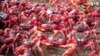 Crab Migration in Australia Turns Roads Red