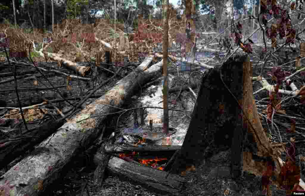 Se quema un tramo de la selva amazónica mientras los taladores y agricultores lo están limpiando en Novo Airão, estado de Amazonas, Brasil. Foto del 21 de agosto de 2019.