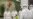 Pyongyang Unprepared for Outbreak Like Coronavirus, Says N. Korean Doctor Who Defected