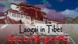 བོད་ནང་གི་ངལ་རྩོལ་སྒྱུར་བཀོད་དང་སྲིད་དོན་བཙོན་པ།
Political Prisoner System in Tibet