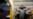 OPCW: Syria Sends Out More Chemicals, Must Increase Pace