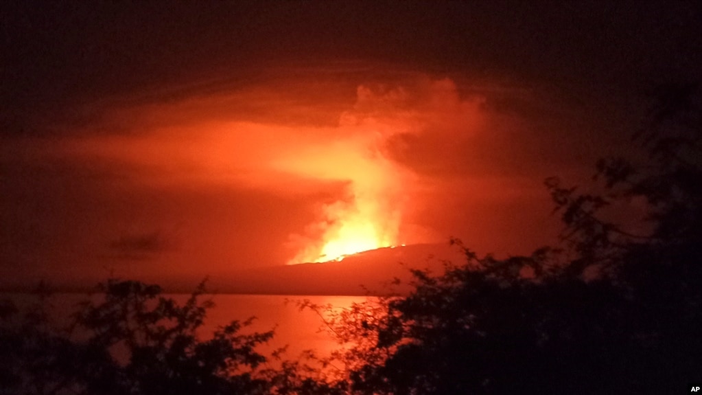 In this photo released by Galapagos National, La Cumbre volcano erupts at Fernandina Island, in Galápagos Islands, Ecuador, March 3, 2024. 