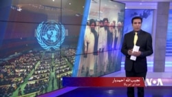 هیچ تحرکی برای به رسمیت شناختن حکومت طالبان در ملل متحد وجود ندارد – حق