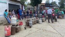 Tala indiscriminada por escasez de gas amenaza parques nacionales de Venezuela