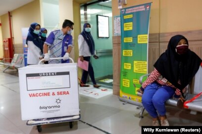 Seorang petugas menarik sebuah kotak berisi vaksin virus corona (COVID-19) di sebuah puskesmas untuk program vaksinasi massal, di Jakarta, 13 Januari 2021. (Foto: Willy Kurniawan/Reuters)