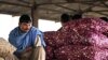 India Potong Pajak Impor Bawang untuk Cegah Inflasi
