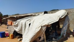 Cabo Delgado: Fome desespera milhares de deslocados em campos de abrigo