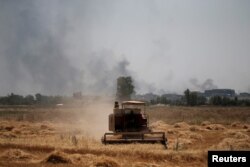 FILE - Smoke billows from the positions of the Islamic State militants as a harvester gathers the wheat crop from a field in western Mosul, Iraq, June 19, 2017.