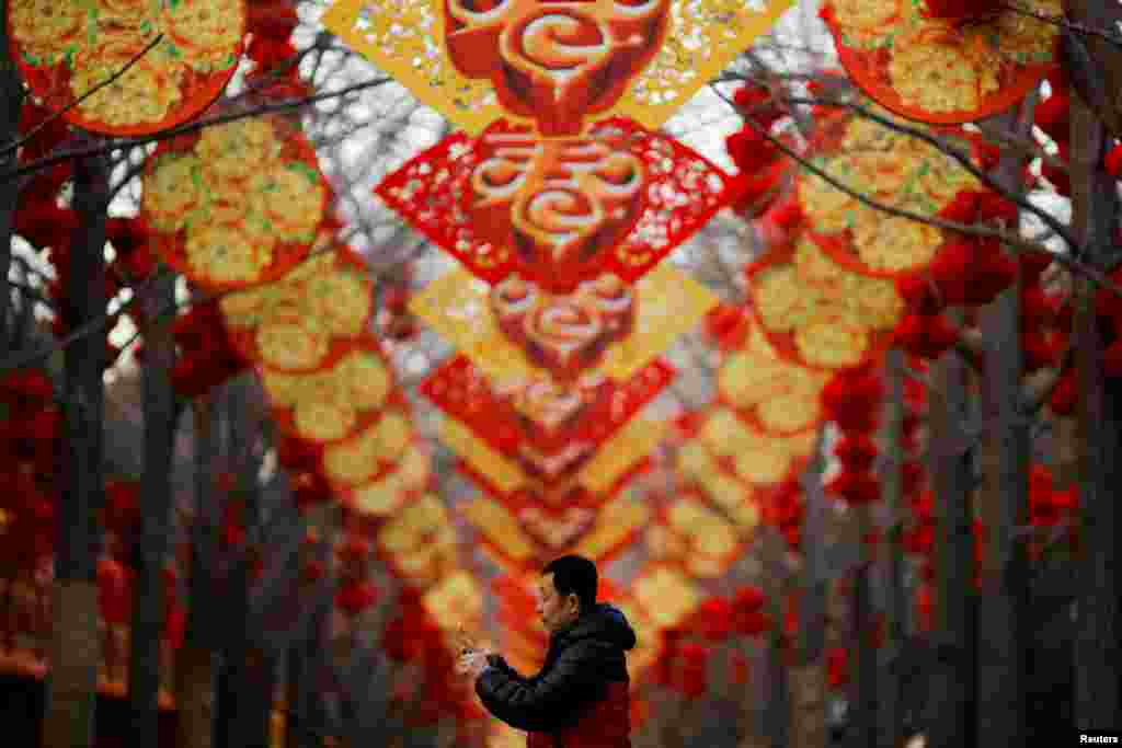 A man takes a picture of trees decorated for Spring Festival ahead of the Chinese Lunar New Year at Ditan Park in Beijing, China.