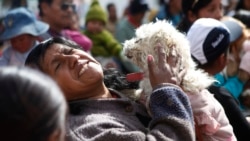 韩国总统拟禁狗肉 动保人士吁中国3年内跟进