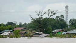 ရေဘေးကြောင့် ချင်းမိုင်မှာ ဆင် ၂ ကောင် ရေနစ်သေဆုံး