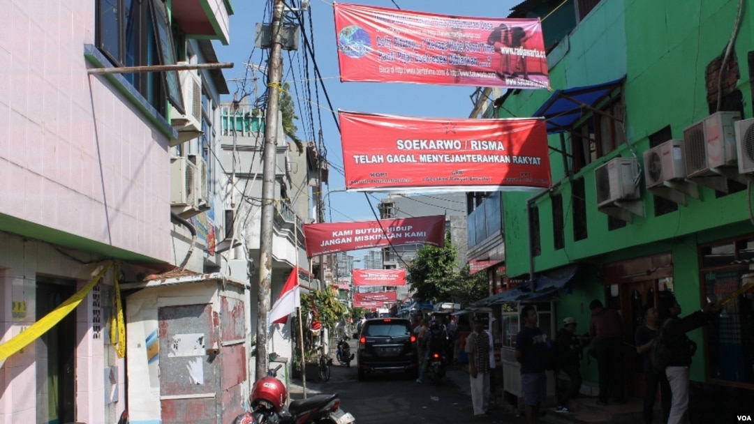 Jojalar porno jinsiy aloqa videolar